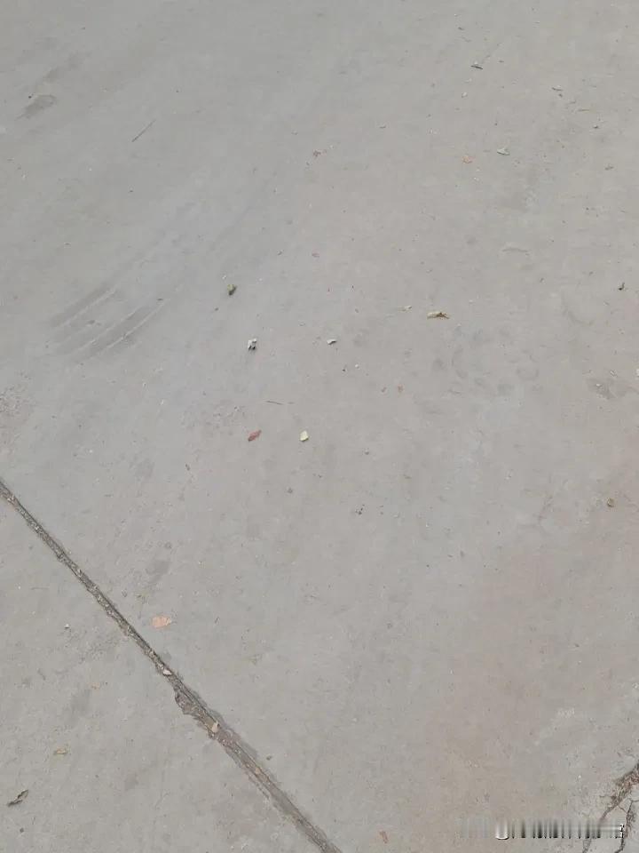 海牛外援兰克尔-泽，那些让人头疼的事。他这个人吧，事儿挺多的，所有人都觉得他以