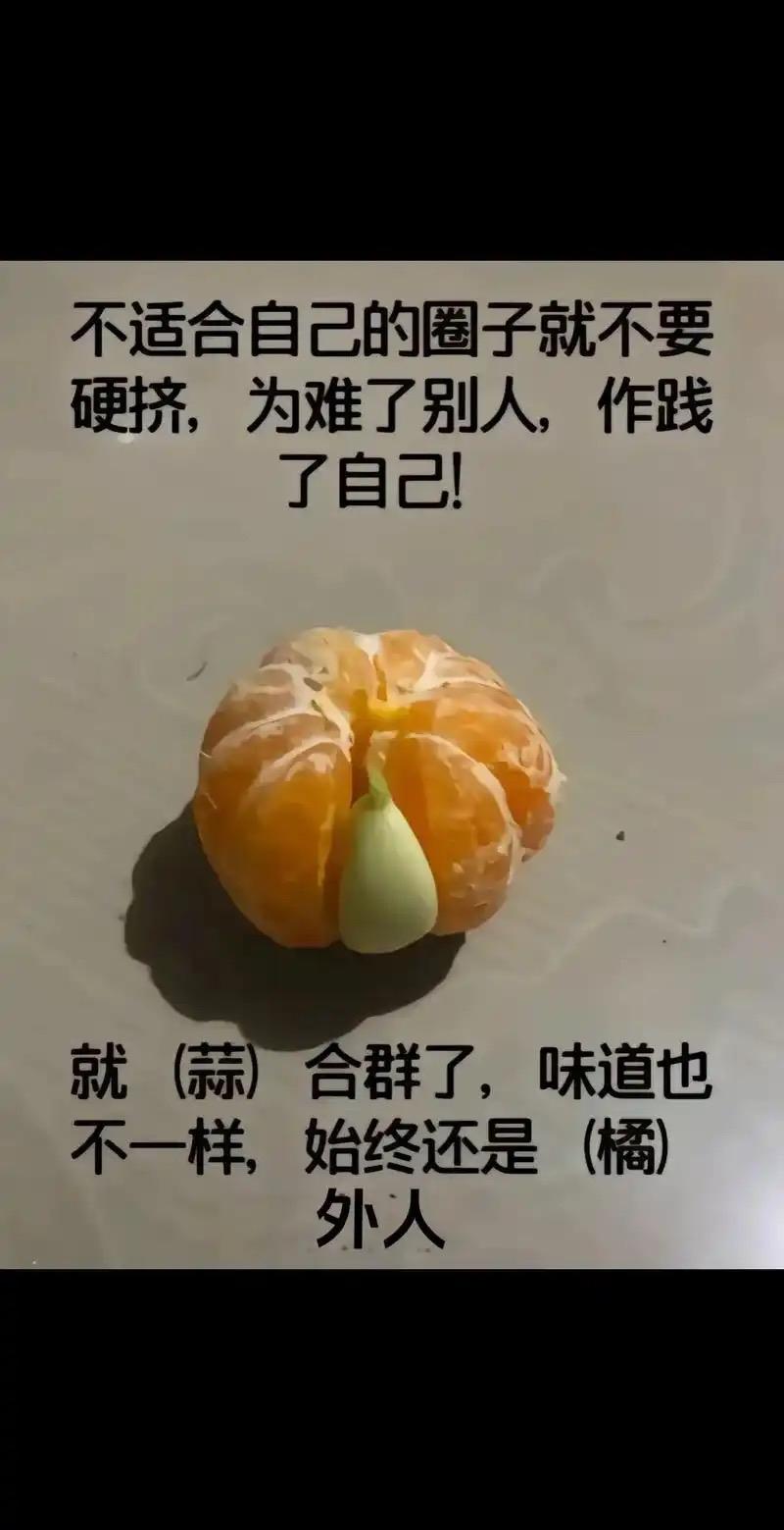 但凡和我能合得来，并且走的近的好朋友中，没有一对是离婚的。我逐渐发现，我的