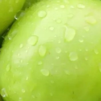 种植🍃青枣的种植方法1、园地选择青枣有着较强的适应性，对土壤要求不高，但是对