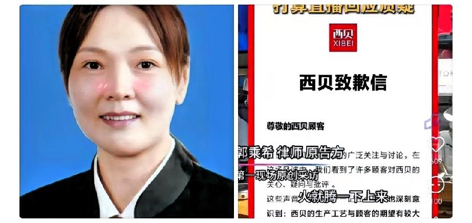 不查不知道，一查吓一跳。西贝老板贾国龙这回是真慌了。西贝老板贾国龙慌了，