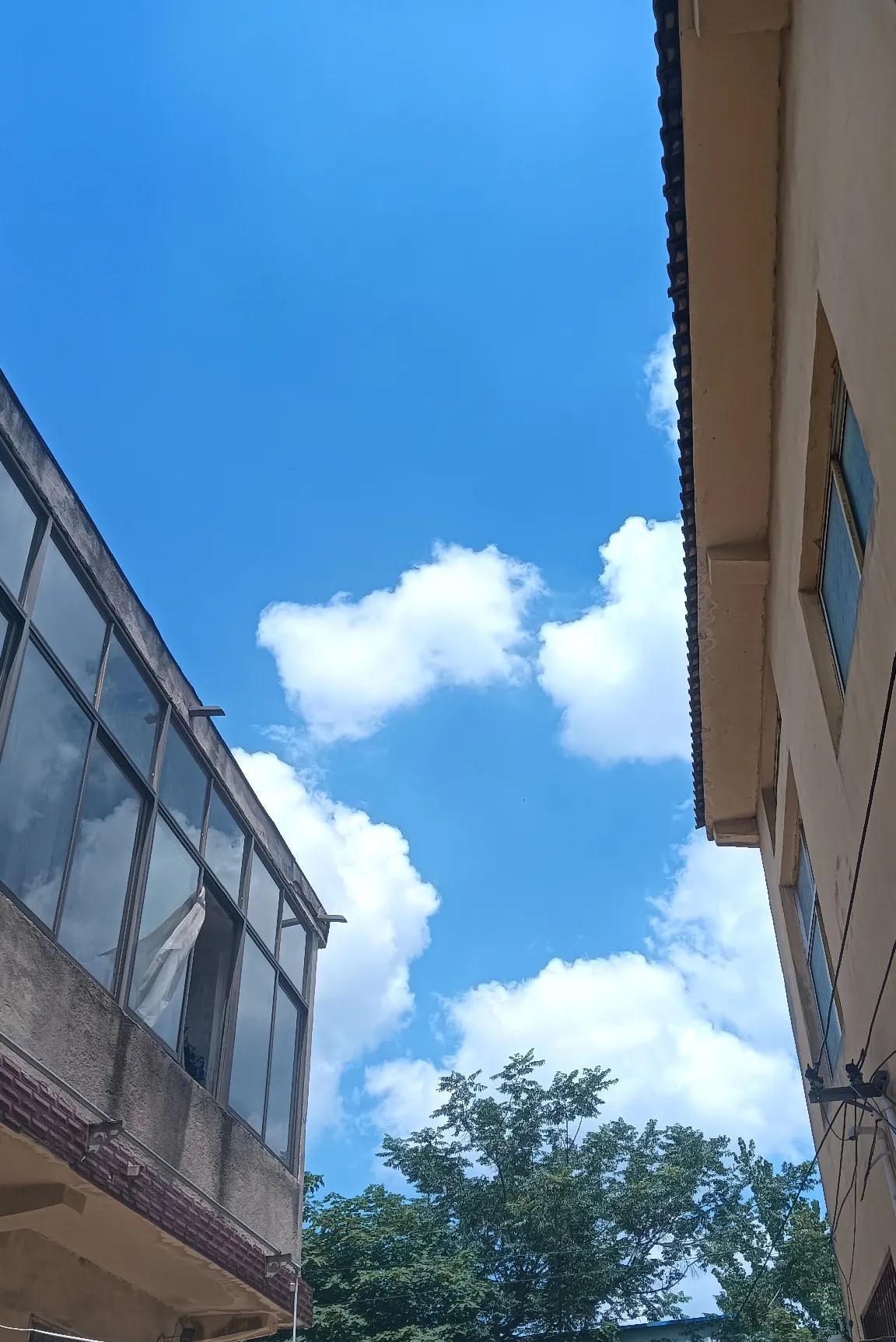 想想就想笑！上午带小孙子在小区里遛弯，小孙子说渴了，我就带他回了家。回到家我