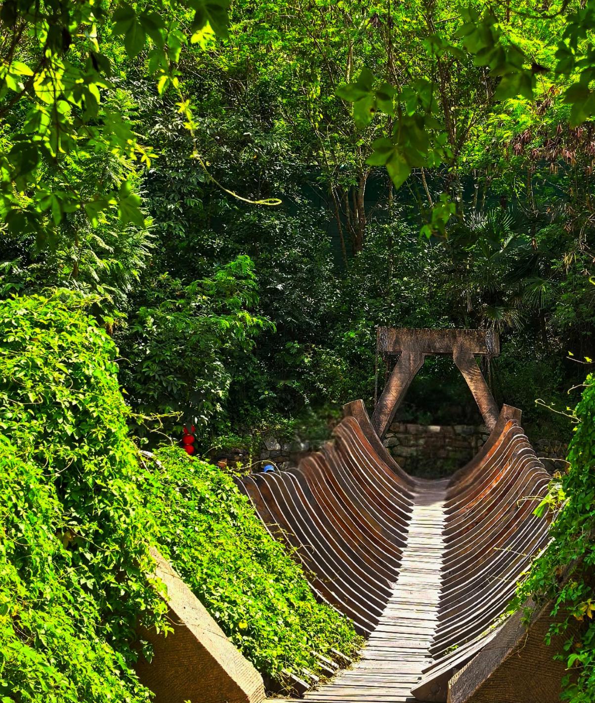 寒假云南3城漫游攻略｜普洱+西双版纳+建水学生党2000元玩转暖冬寒假不打烊放