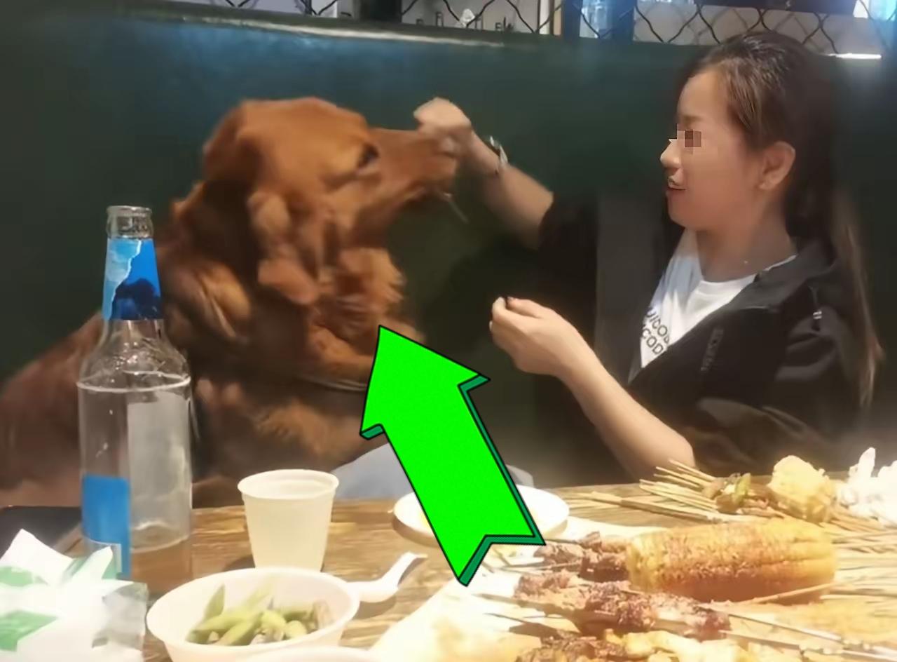 又见狗撸串、又见烧烤摊主销毁签子，熟悉的剧情、熟悉的整改方案，这次没有人同情和理