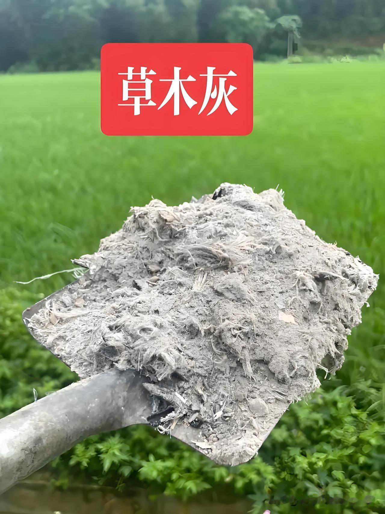 草木灰和稻壳炭的区别:很多菜友把草木灰、稻壳炭当成一样东西乱用，其实差别很