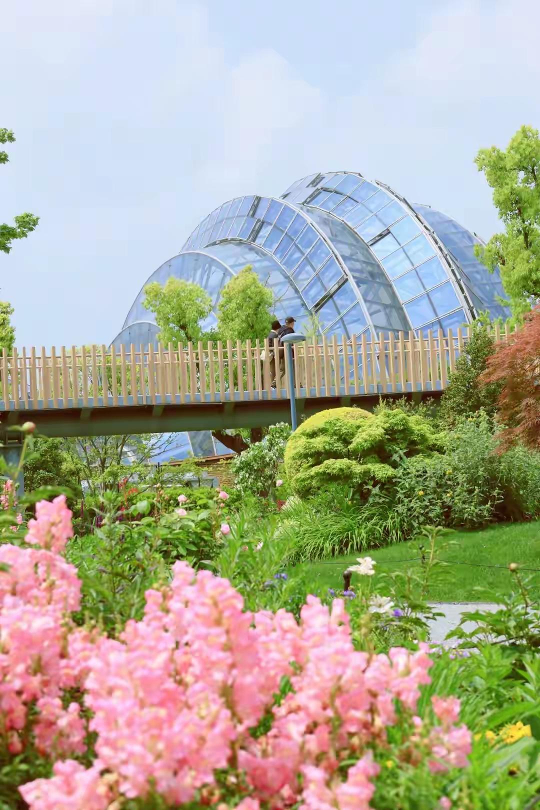 2026上海国际花卉节——赏花🌸我目前只到过两处静安分会场~苏河湾万象天地