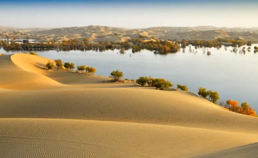 治理塔克拉玛干沙漠，不少人总盯着“种树浇水”的老路子，可越干越发现不对劲——费力