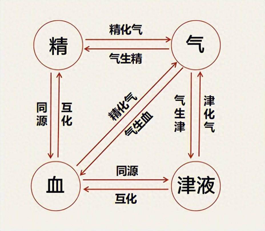 长寿核心秘诀：精血足，人不老！一个温润土方，慢慢补满一身精血我是中医陈大夫，内
