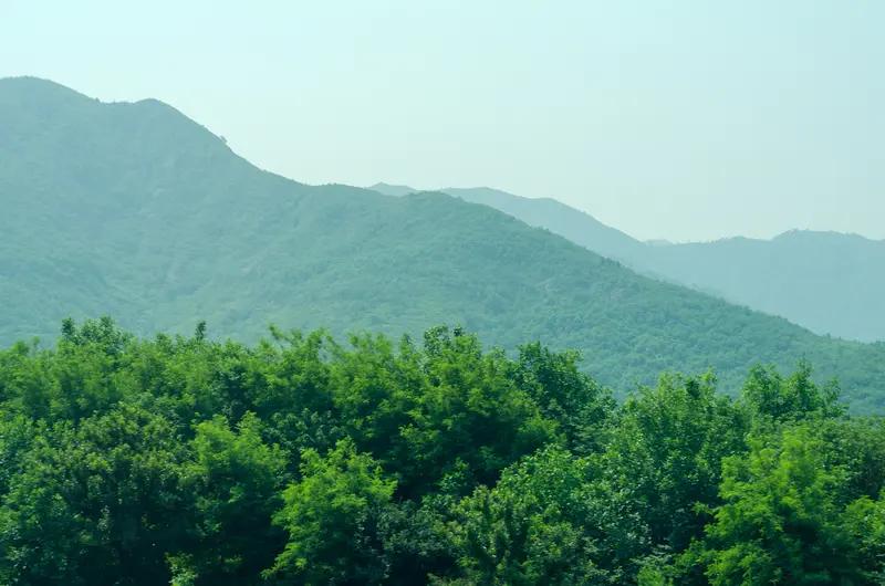 空山不作春秋梦，诚邀下联