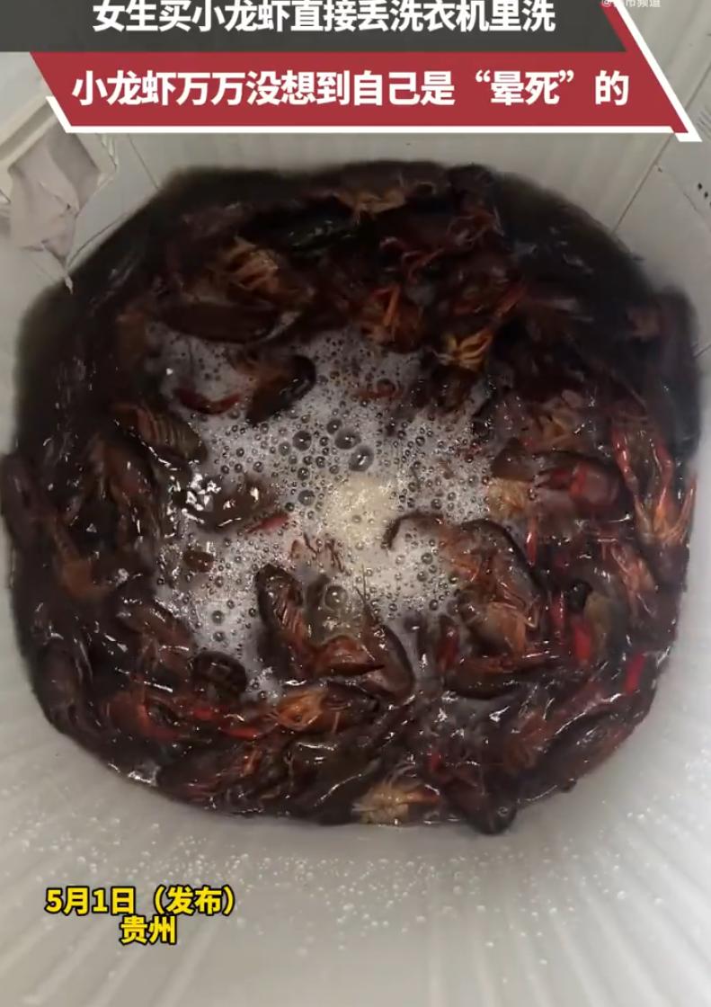 你敢信？有人把活蹦乱跳的小龙虾扔进洗衣机，按下启动键，十分钟后捞出来一看——干净