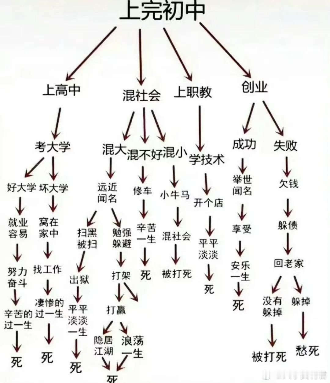 一张图看懂中考后的人生​​​