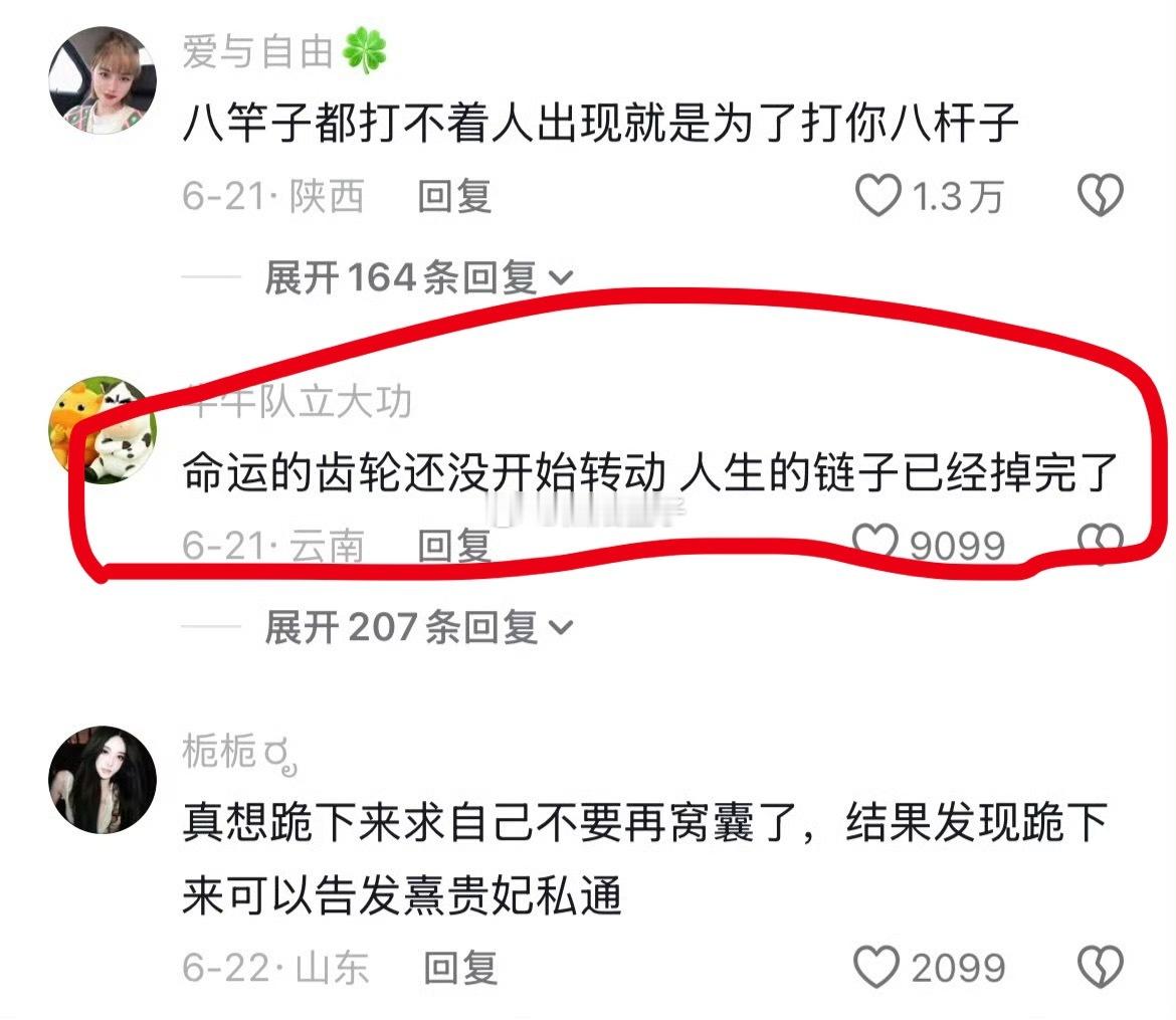 哈哈哈，笑死我了，笑出来一天好心情