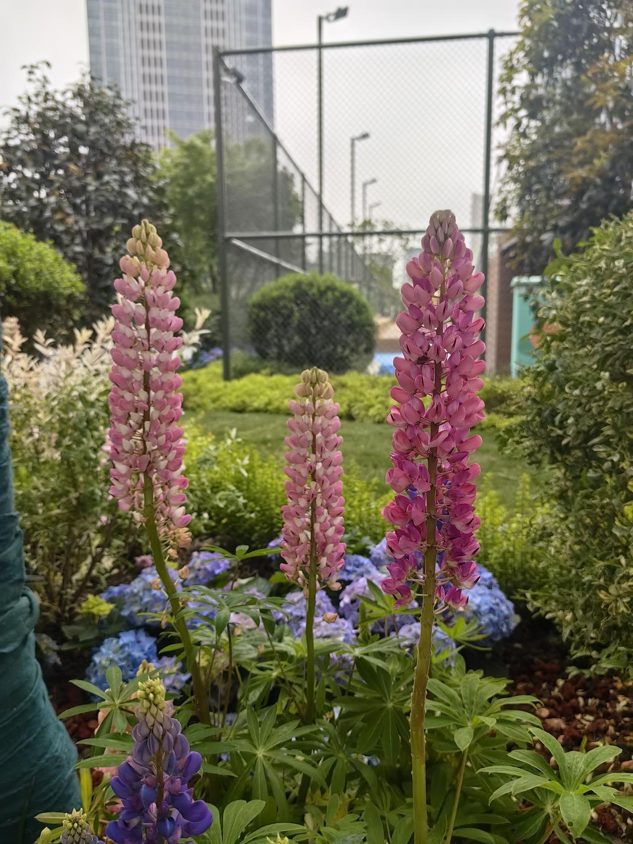 振宏股份申购策略今天振宏股份在北交所上网发行，发行价格20.58元，发行数量2