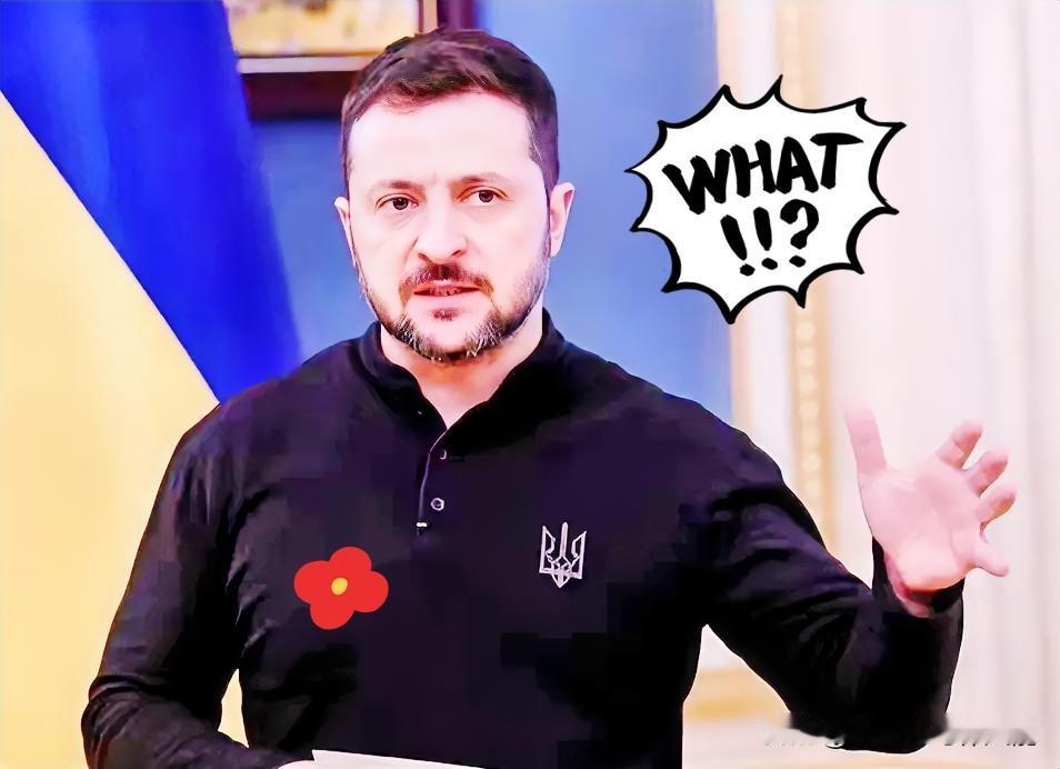 乌克兰消息泽连斯基宣布了！当地时间12月18日，泽连斯基跑到布鲁塞尔的欧盟