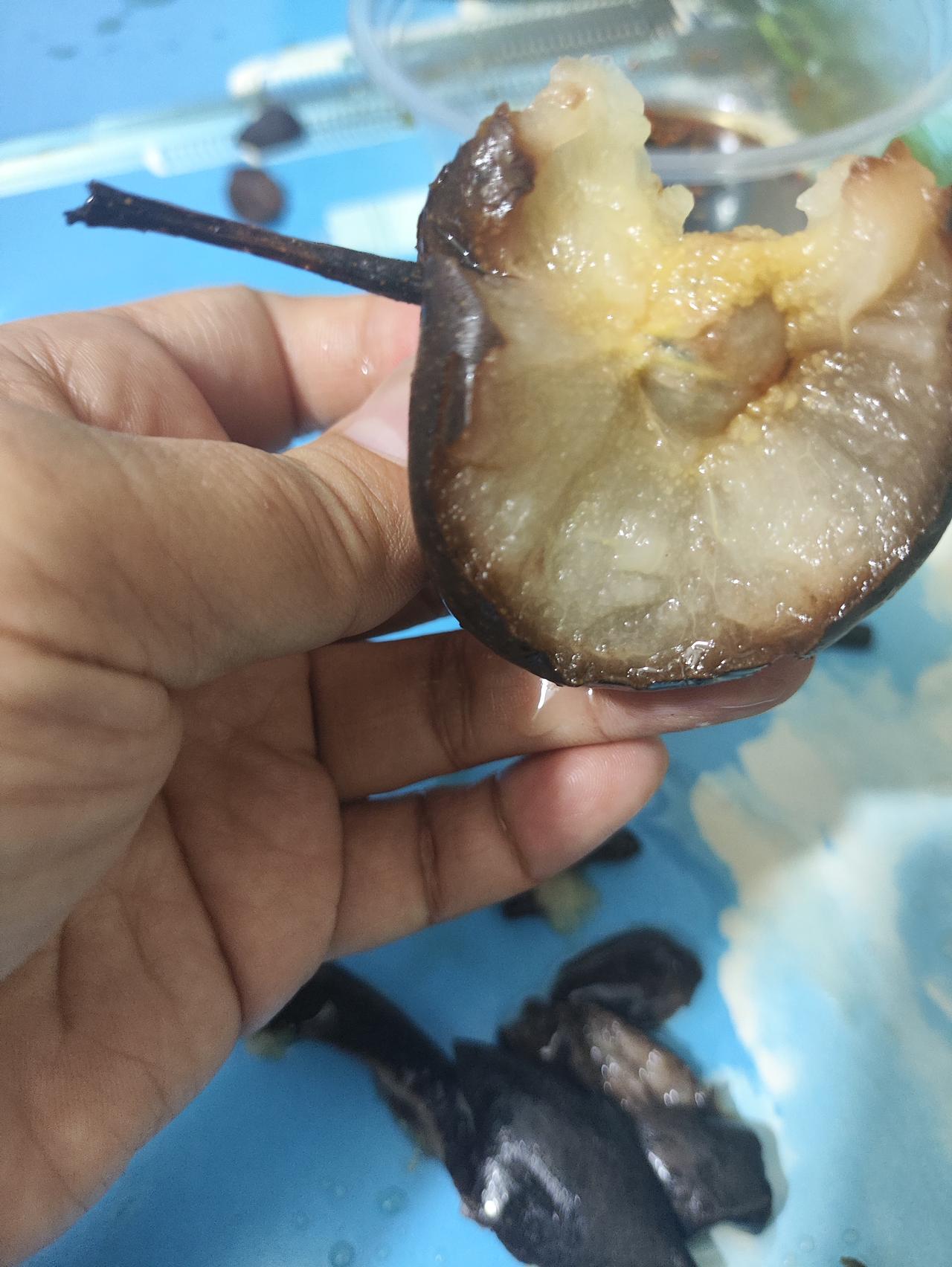 第1次吃到东北的冻梨，他那边是冻硬了发货的，用的是保温袋，然后物流到我这边用