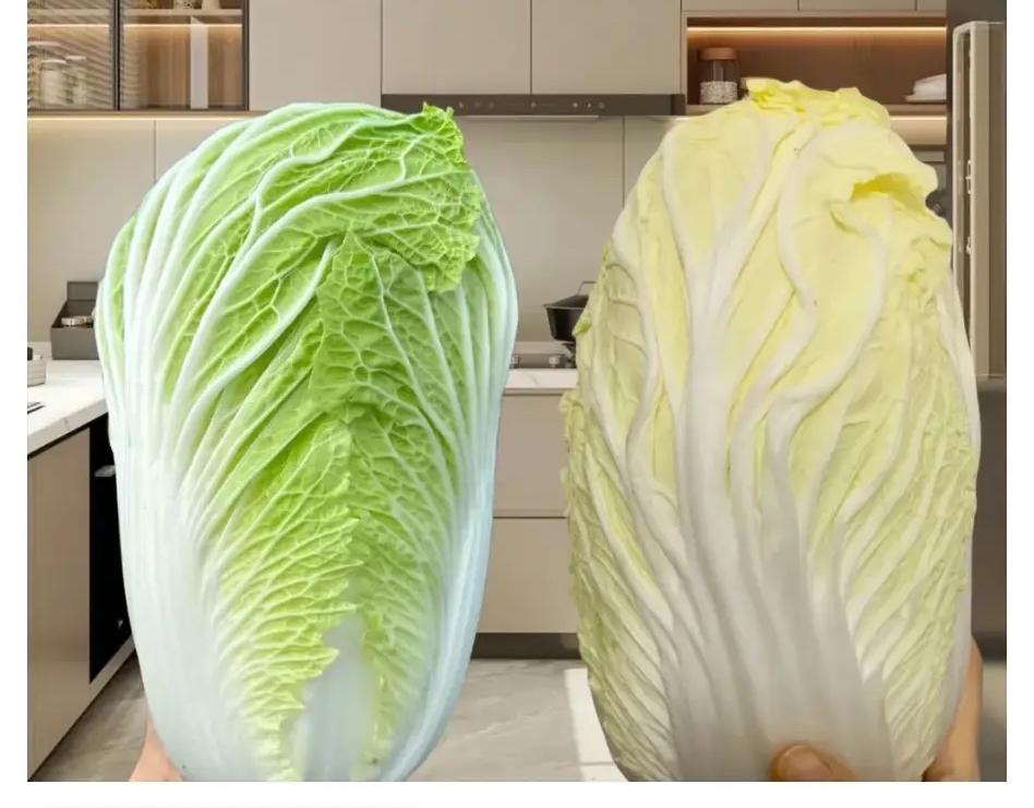 懂行的专家出来说说，到底哪种白菜好吃？哪种营养丰富？我买白菜的标准，喜欢能炖烂的