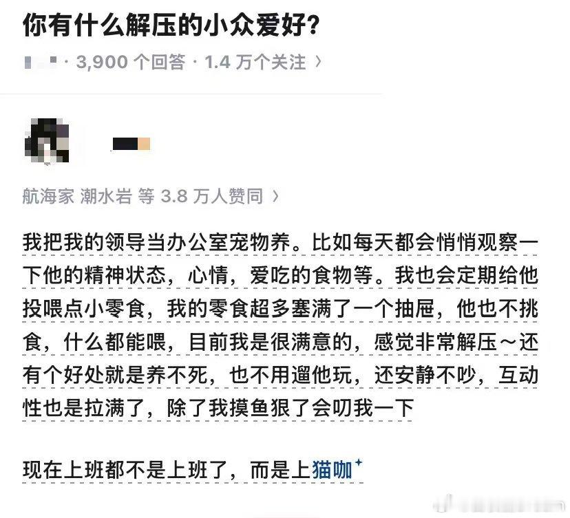 这就是我上班的小众爱好
