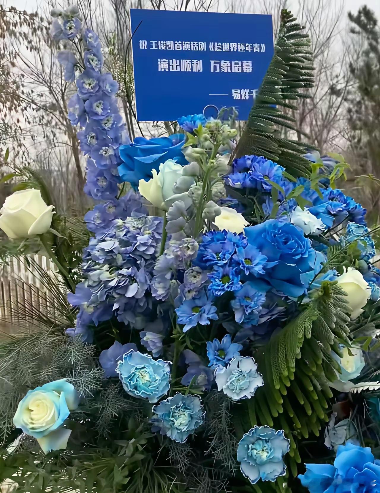 易烊千玺给王俊凯送花篮这事直接杀疯热搜！之前还传两人渐行渐远，这下全被打破。王俊