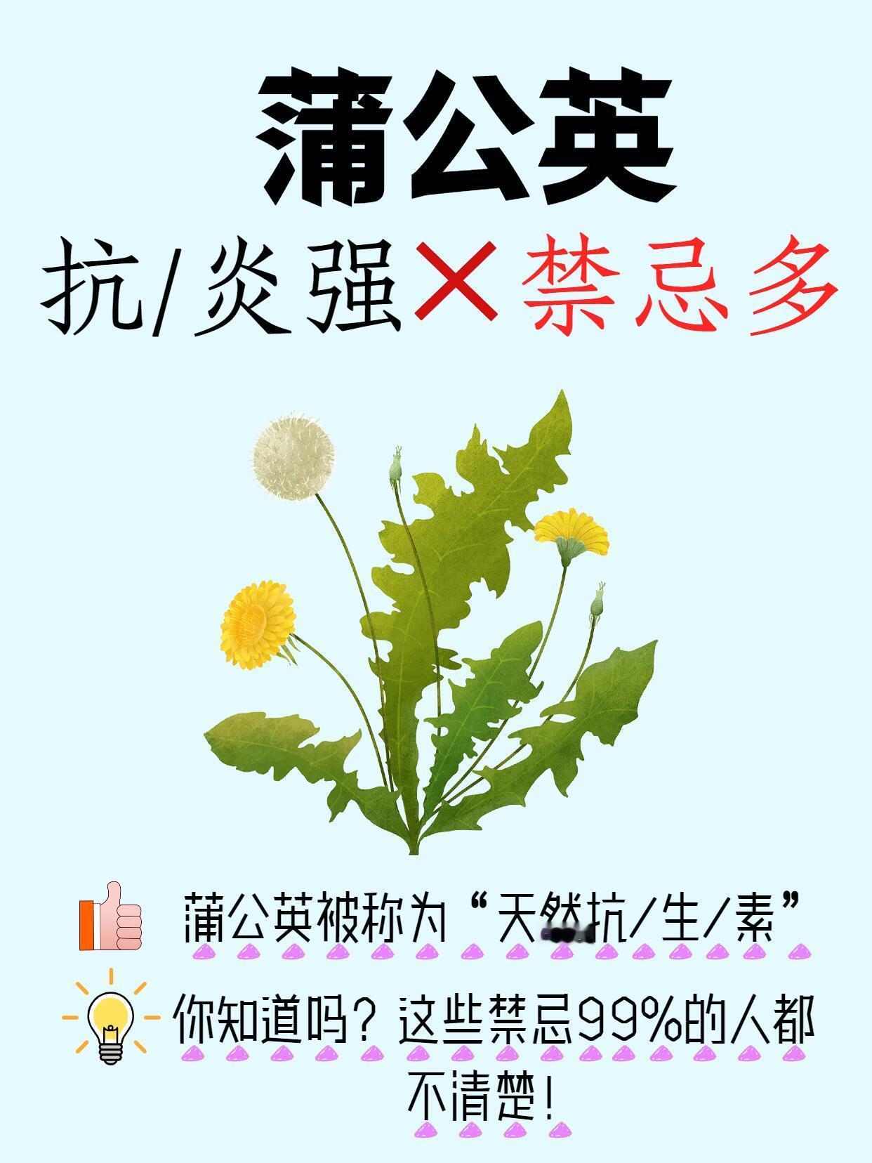🍃蒲公英不是杂草，是宝藏❗​​​