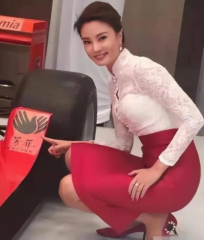 那个时候，央视主持刘芳菲非常漂亮也特别红，所以，以后有什么事都扯上了她…