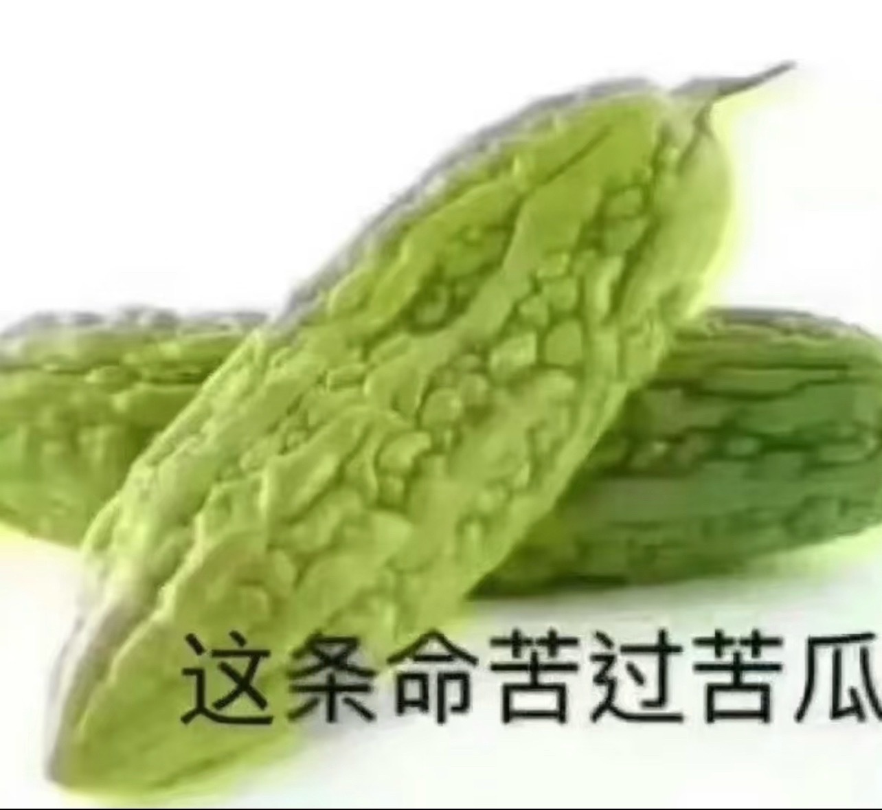 现在喜欢吃苦瓜了因为比我的命甜点