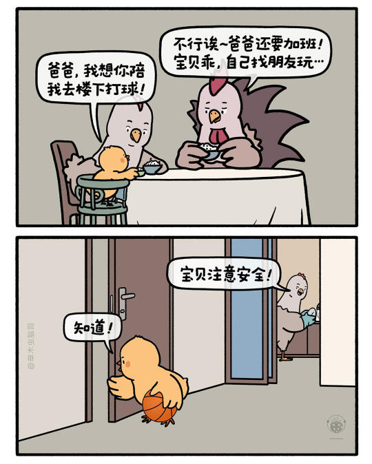 小鸡交朋友