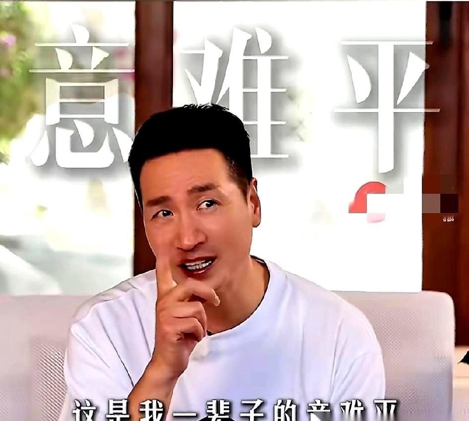 何晟铭的“意难平”，原来是自己选的。2010年拍《宫锁心玉》，他和演“四福晋