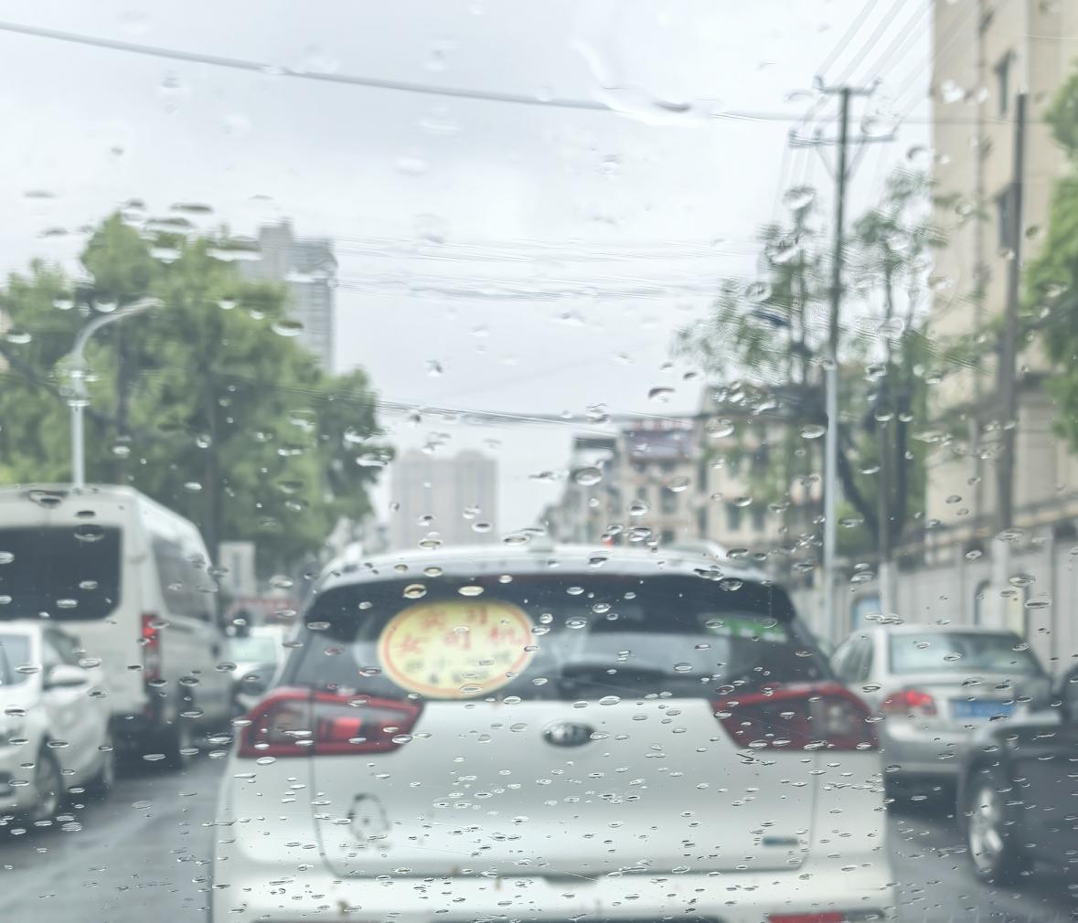 大哥过生日，家里难得热闹了一回。大嫂的妹妹带着女儿过来了——这孩子在我们县重点高