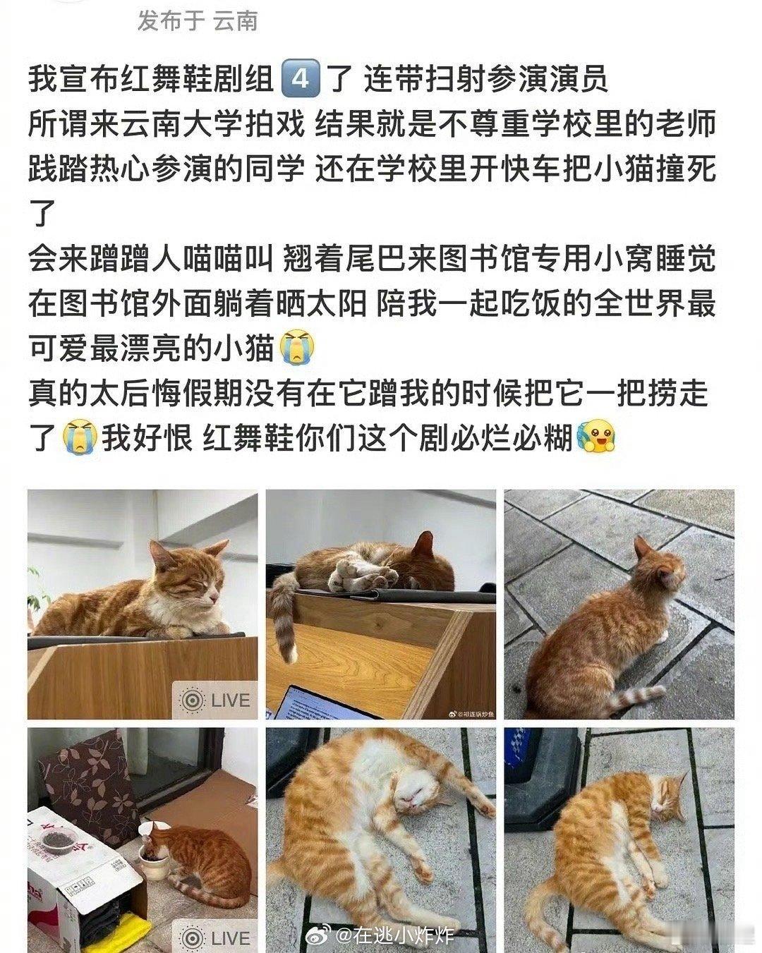 红舞鞋剧组学校给剧组开方便之门，剧组把学校当什么了…对学生竖中指，这是什么痞子