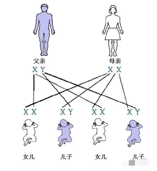 现在还有重男轻女的人吗？总觉得要生个儿子才行。如果是生女孩，总觉得是妈妈的错