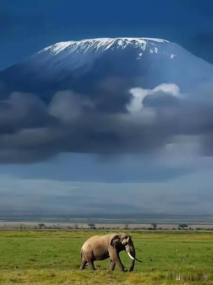 如何可以，这座山可以取代泰山地位吗？它从地面到山顶达5800米，垂直高度堪称世界