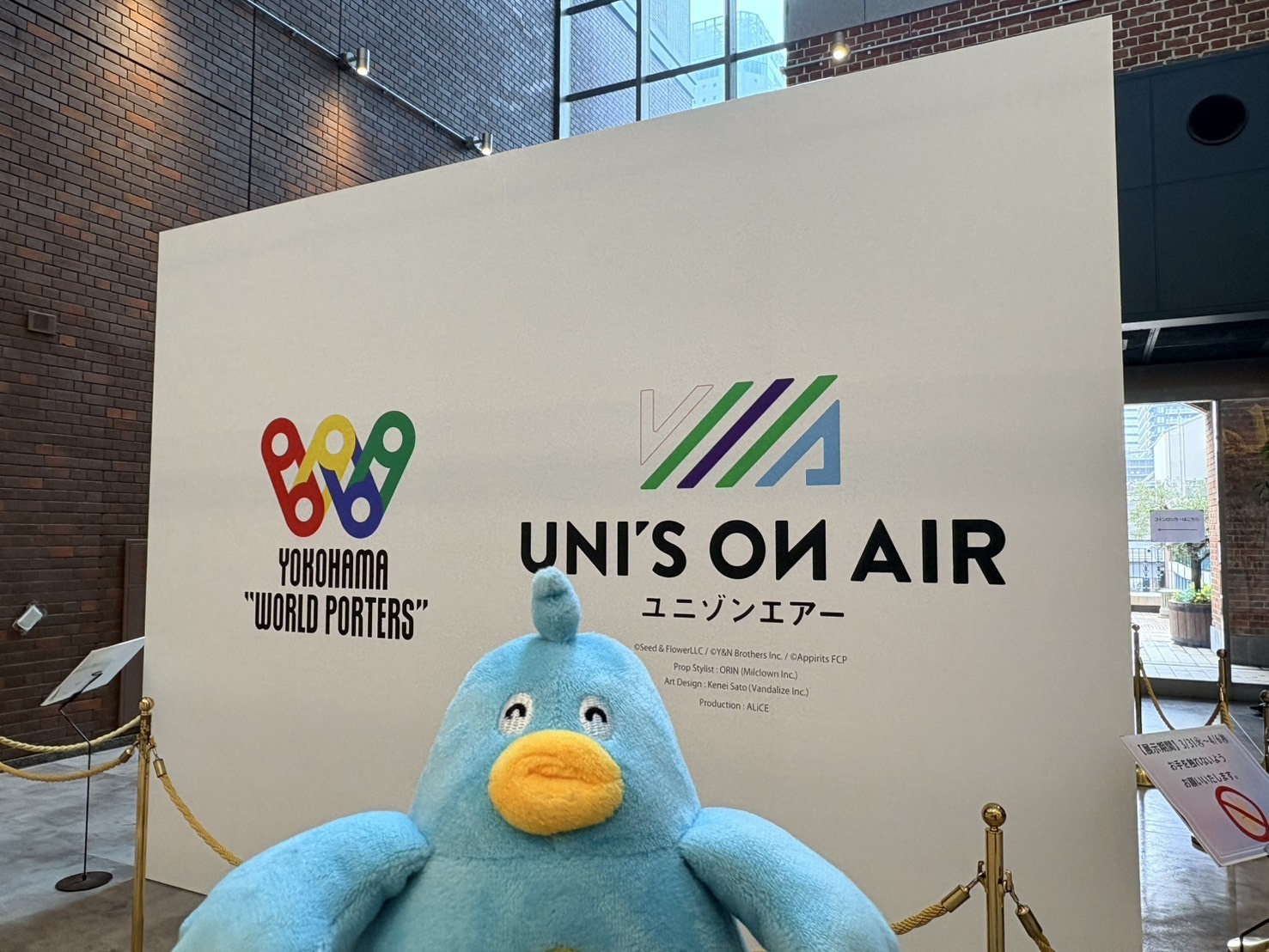 ポカ「日向坂46×かき氷の店のんてぃ横浜　三期生メンバー考案のかき氷4種の販売※