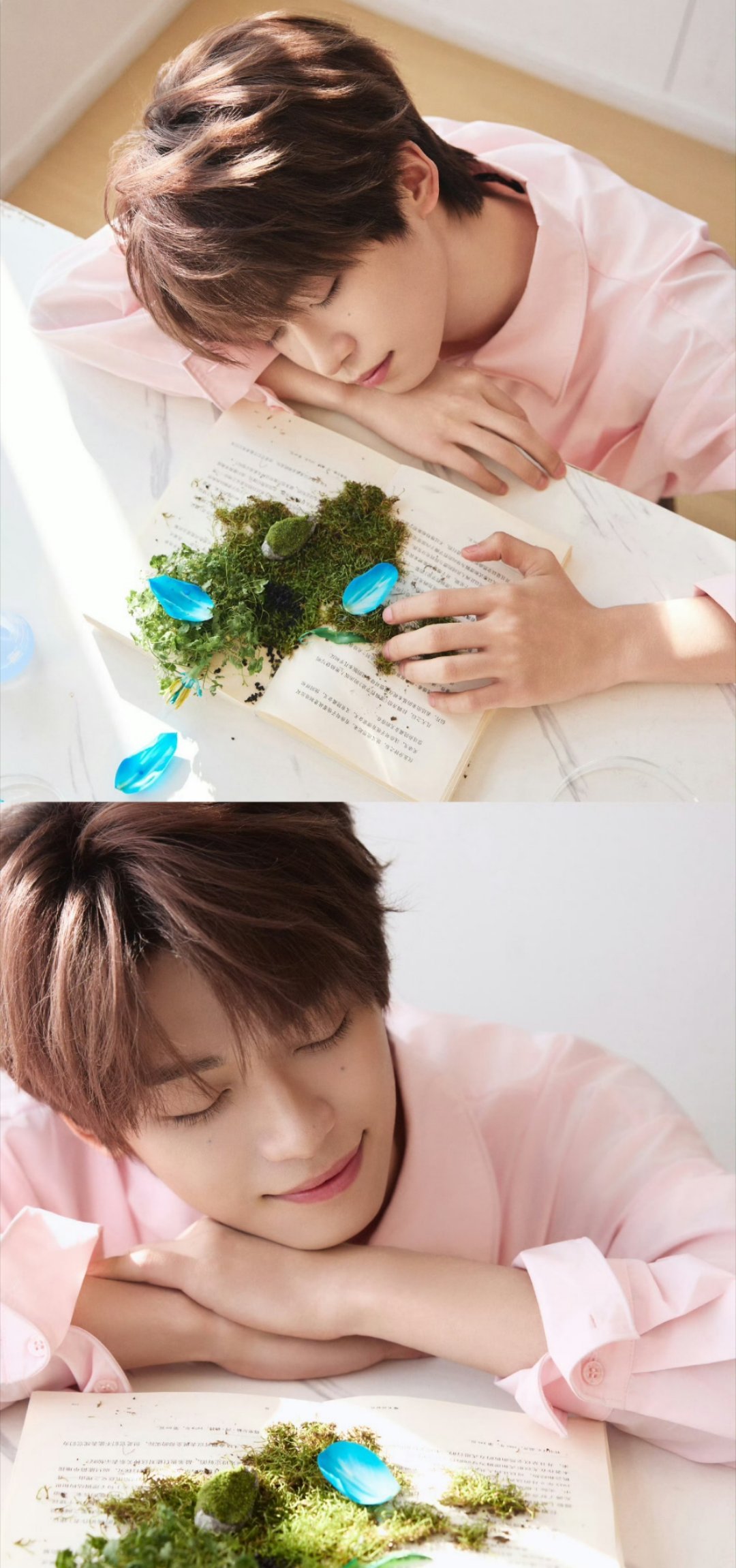 梓渝我们想你能每天保持好心情我们会一直在背后支持你