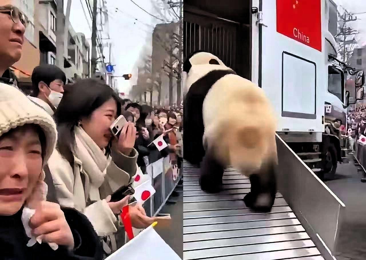 晓晓蕾蕾头也不回登车归国，日本民众的眼泪根本留不住国宝的归途，这哪是简单的离别，