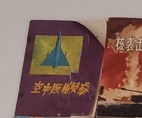 我的航空照片判读入门书籍，非常简单易懂，有个初中文化水平就能看明白，建议某些专业