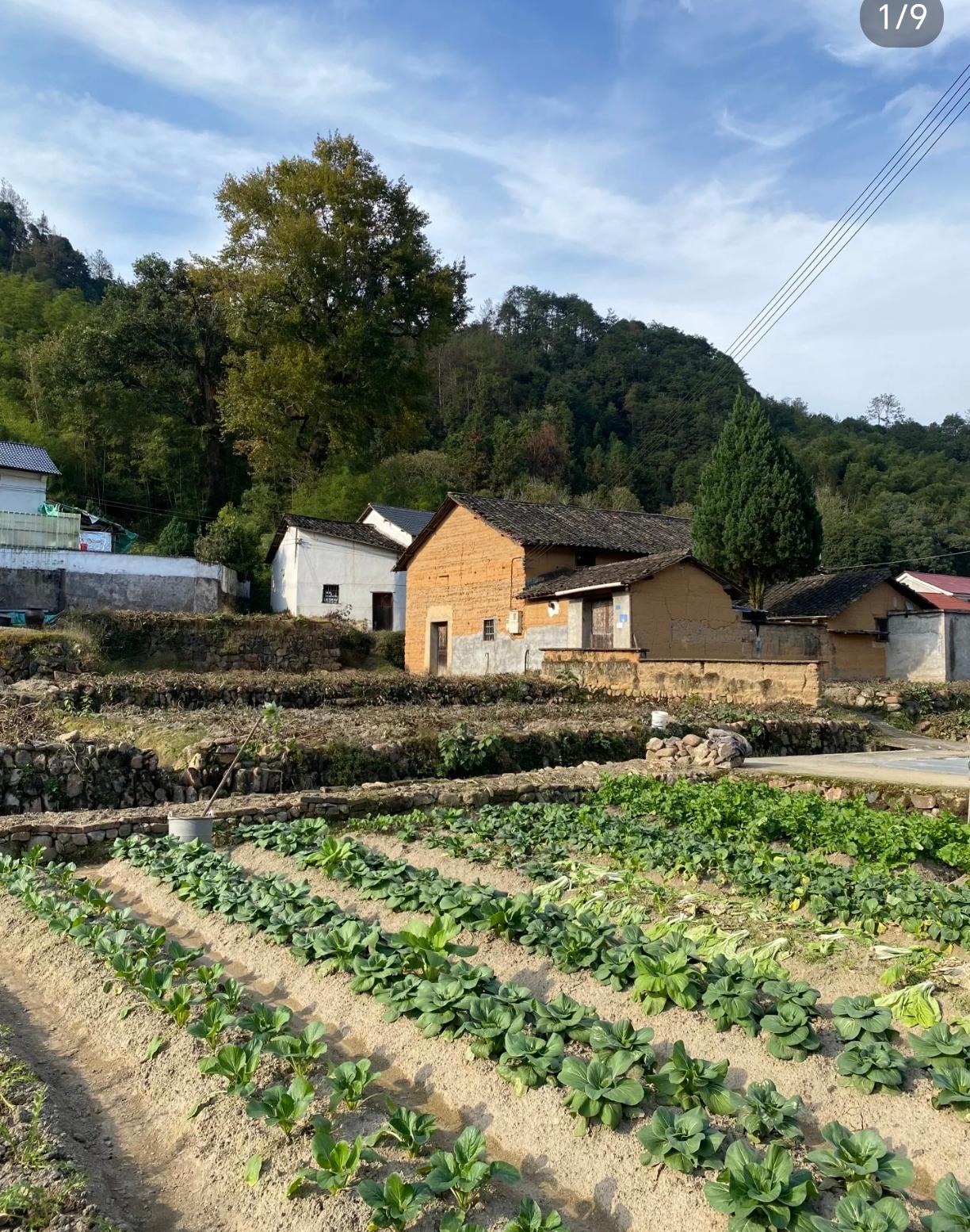 谁家还没有一个重男轻女的婆婆呢？我家也不例外…就拿今晚买菜来说吧，我儿子8