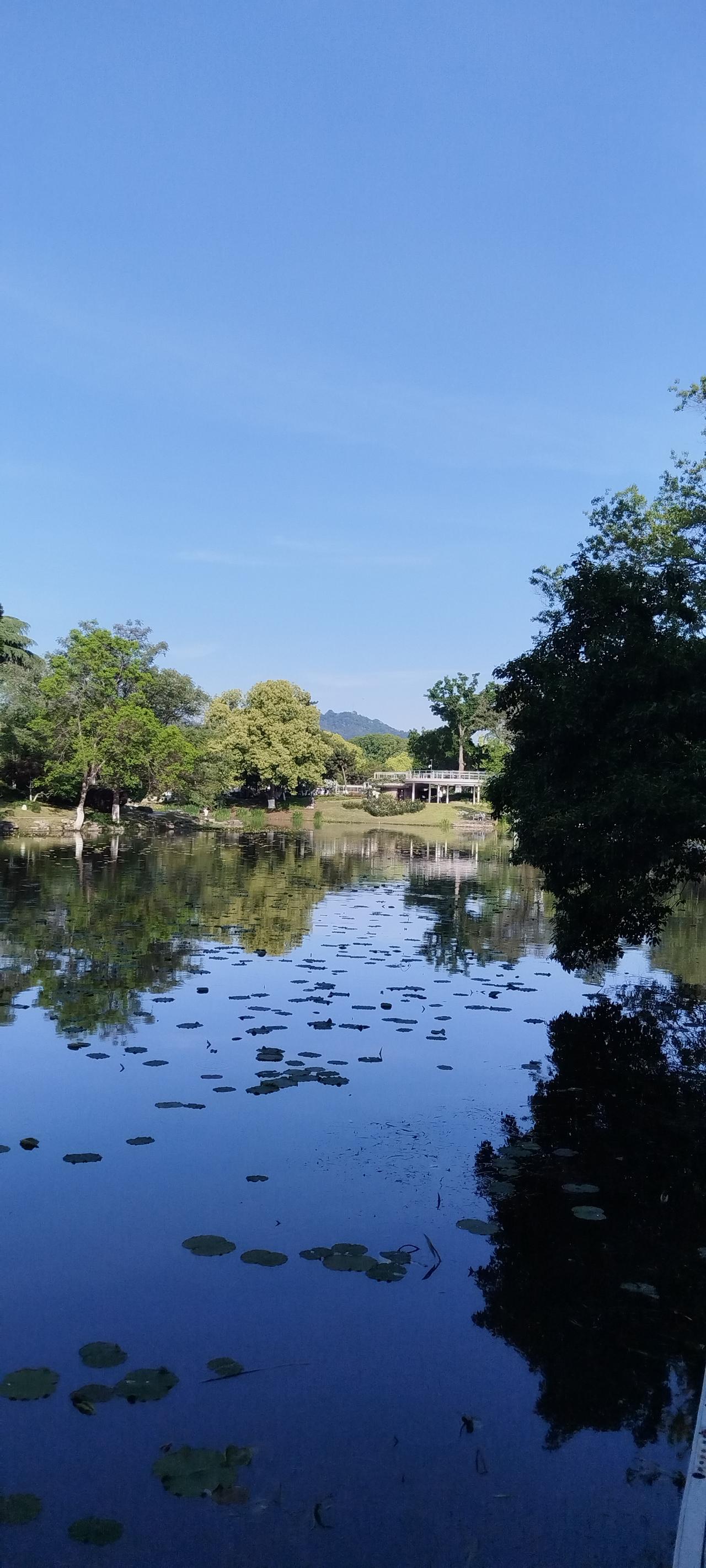 在玄武湖公园看南京市紫金山，紫金山好象不太高！如果你到了紫金山脚下的白马公园去看