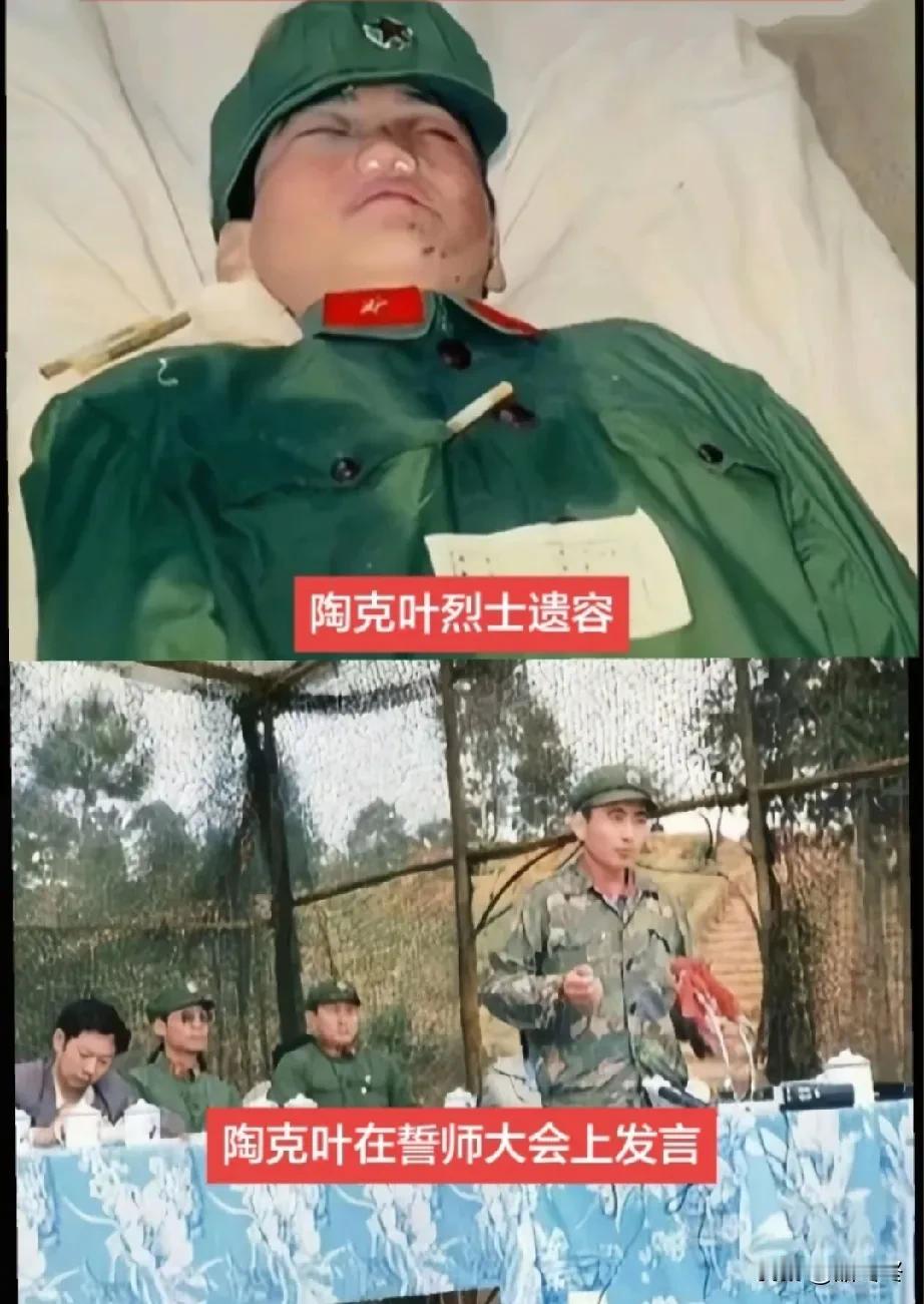 陶克叶在战斗中两次受伤，一次遭到敌人高射机枪子弹击中双腿，最后一次被敌人的炮弹击