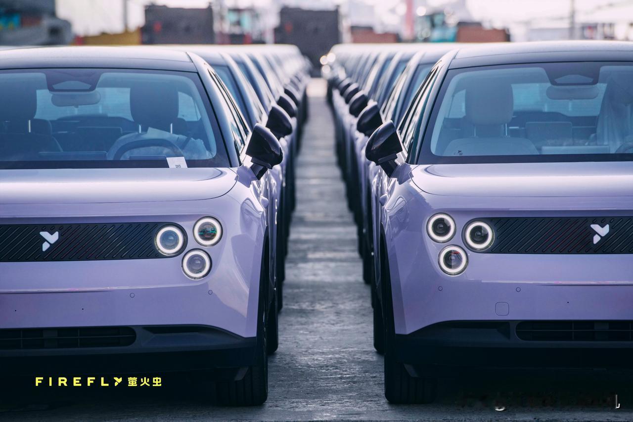 身材普遍高大的欧洲人，也爱蔚来萤火虫。蔚来的萤火虫开始出海！运到荷兰、挪威、比