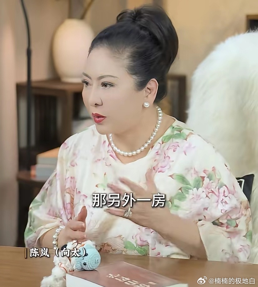 向太在最新的视频中谈到她与婆婆的关系，她的公公有两房媳妇，也谈到了她与儿媳妇郭碧