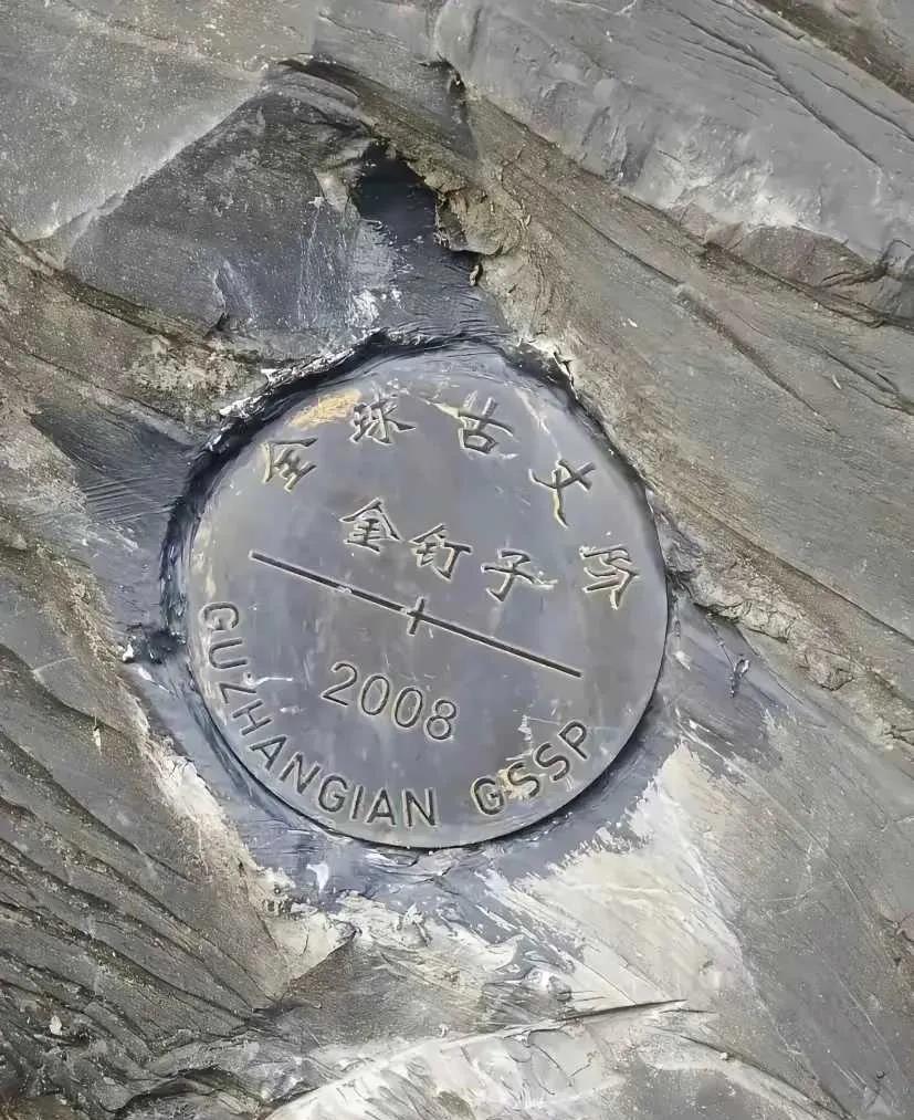 金的？钉子？