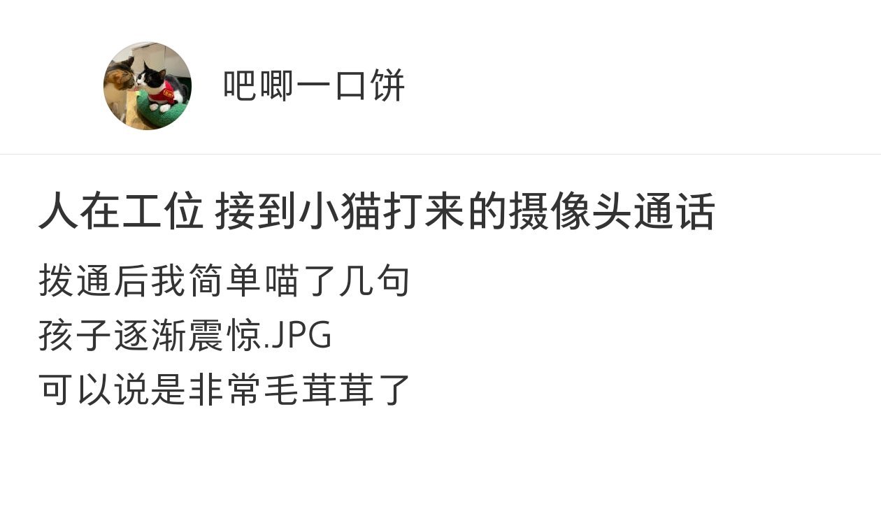 上班中途接到了小猫的来电通话​​​