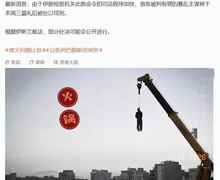 这个孙子，想得可真美。当地时间1月11日，伊朗末代王储礼萨·巴列维发表视频讲话