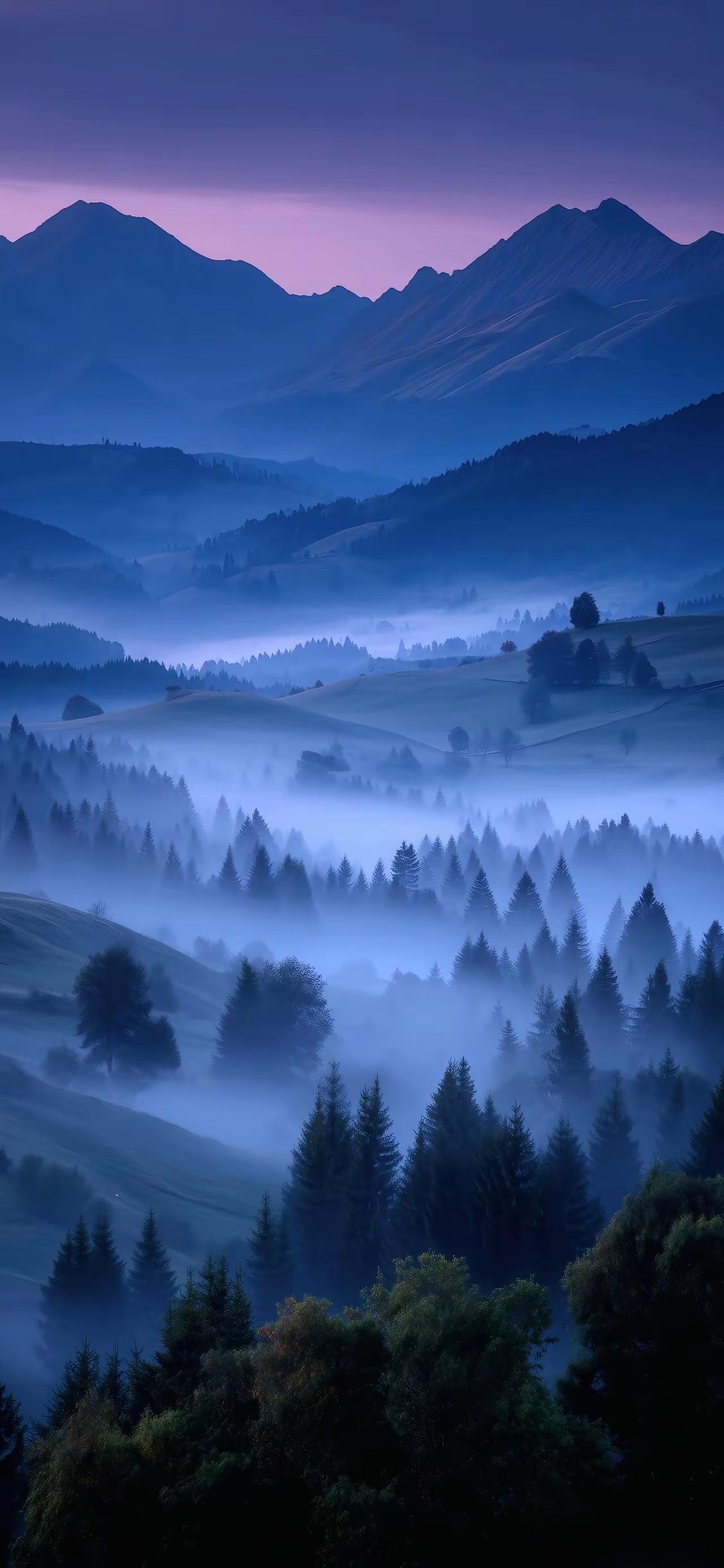 诺贝尔奖是洋奖，奥林匹克金牌也是洋奖。今天世界几乎所有全球性活动都是西方人发起的