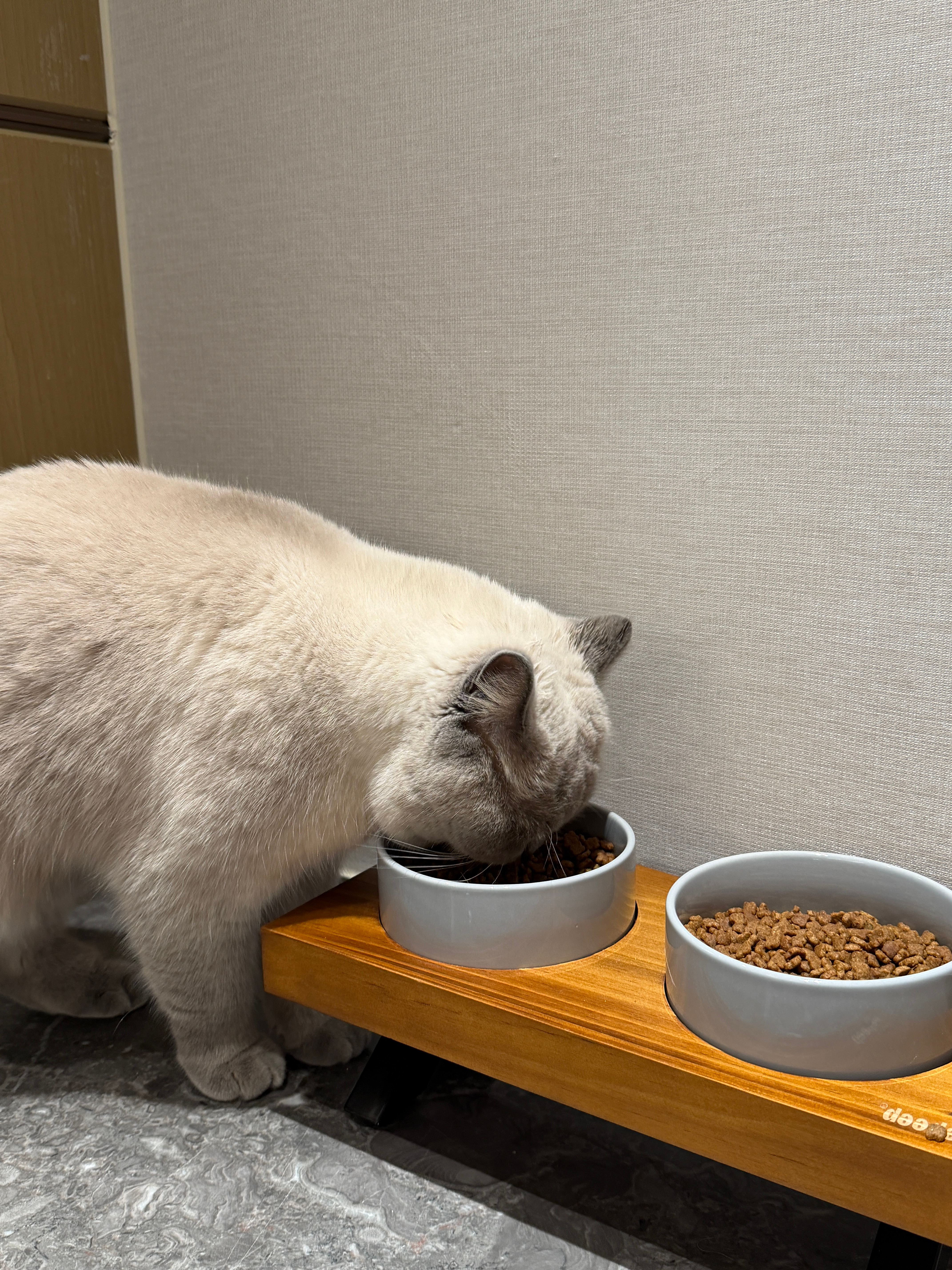 全家没有一个瘦的