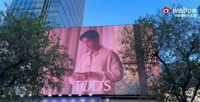 临沂泰盛广场官方说的：就这个肖战痛楼爽！Tods肖战再次占据上海市中心tods