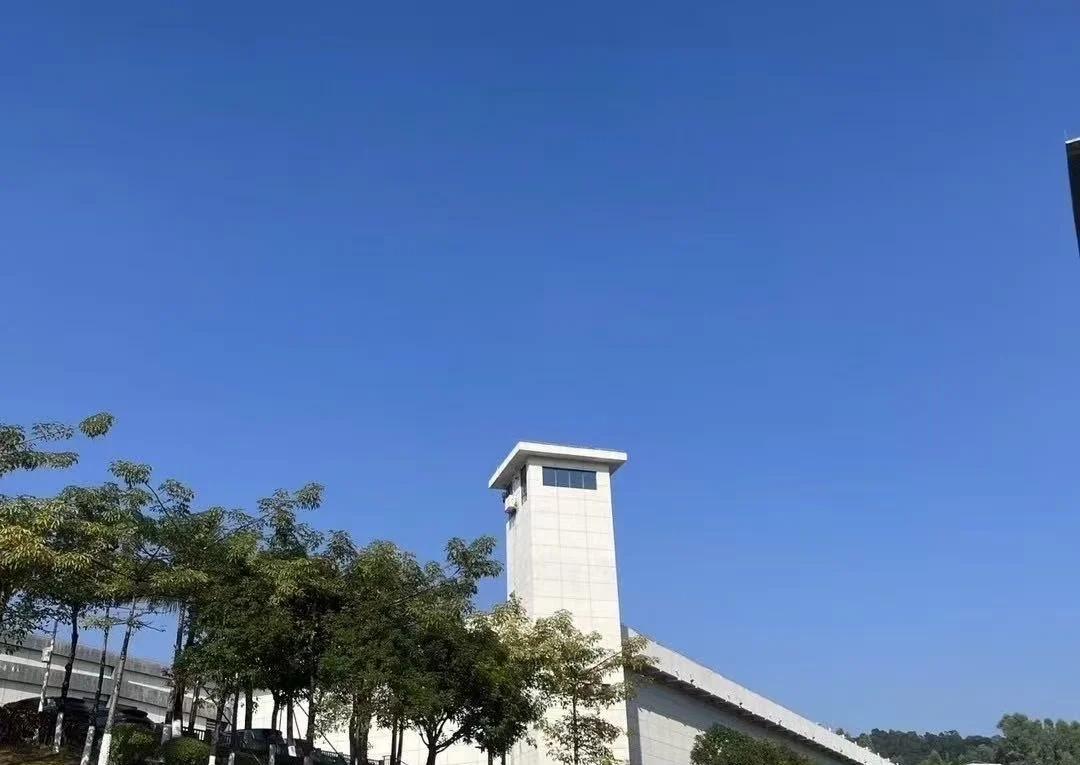 被强奸后，多久还能检测出人精？被强奸后，多久还能检出精液？答案很残酷：24小时