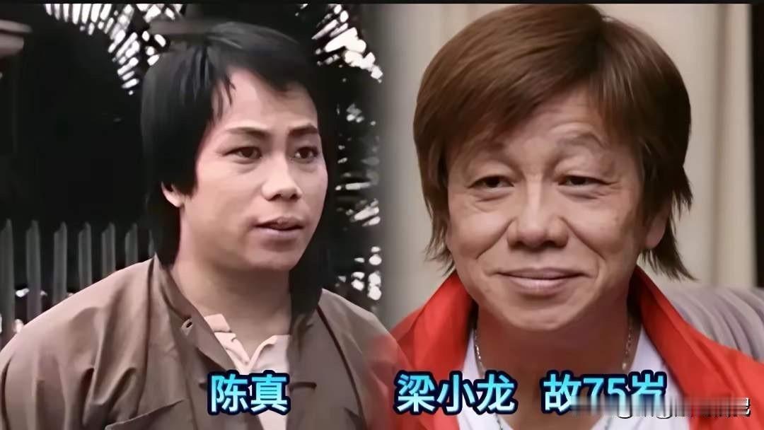 米雪老了，还是那么漂亮。魏秋桦老了，还是那么漂亮。黄元申老了，还是那么帅气。