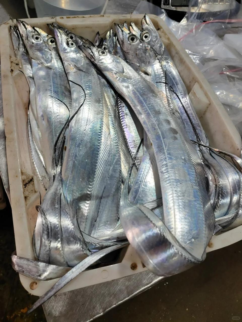 且吃且珍惜吧，漫长的东海休渔期要来了！浙江省宣布，自5月1日12时至9月16日