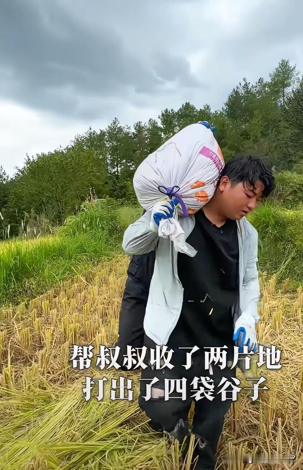 全红婵她哥全进华也太会说话了吧！情商直接拉满！面对黑子阴阳怪气，他不躲不藏