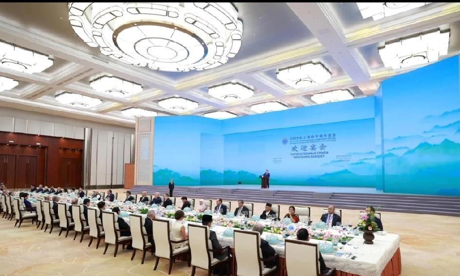 这就是我们可爱的祖国，在天津召开的上海合作组织峰会，实力决定地位，特别看到那么多
